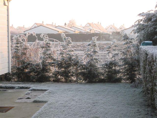 2009_0110_1033.jpg